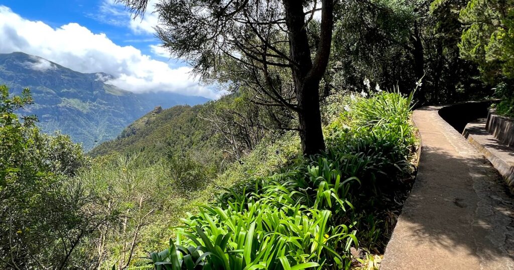 Trees and plants line the side of levada das Rabaças.