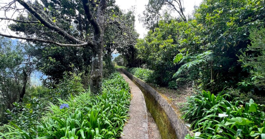 Levada das Rabaças is bordered by tall trees and green shrubs.