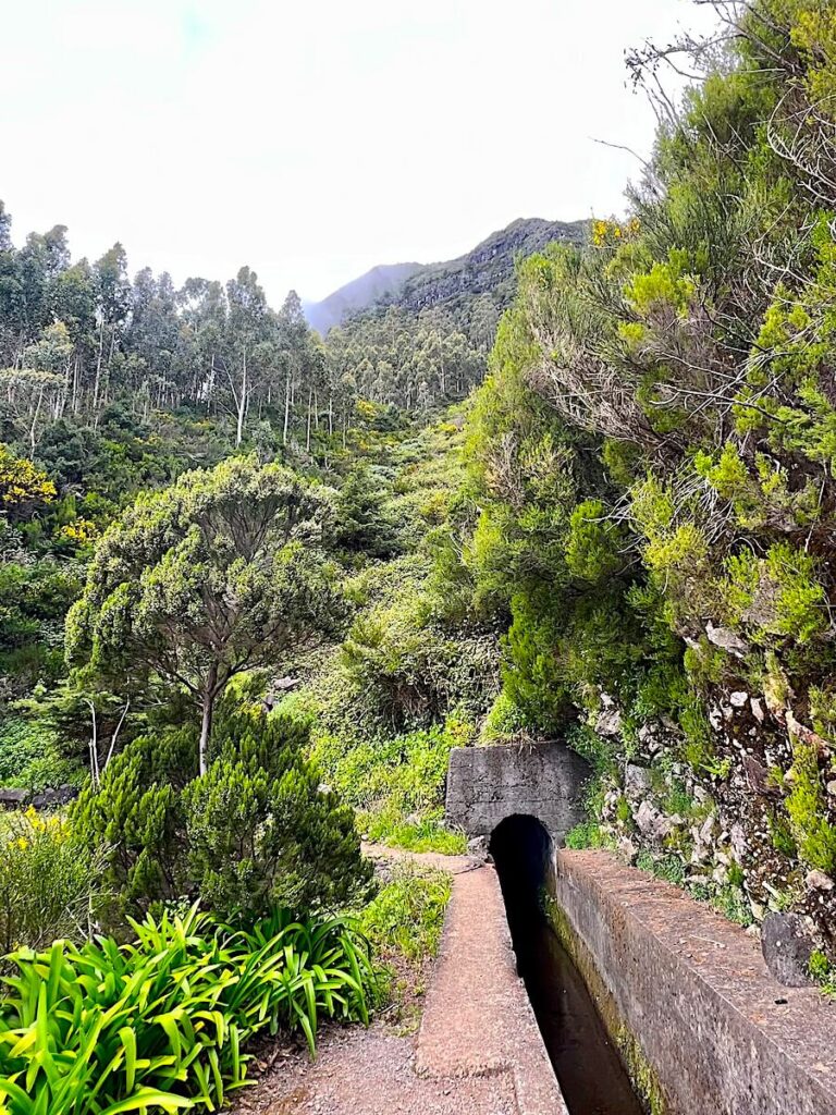 A levada flows into a small tunnel built into a forested hillside.