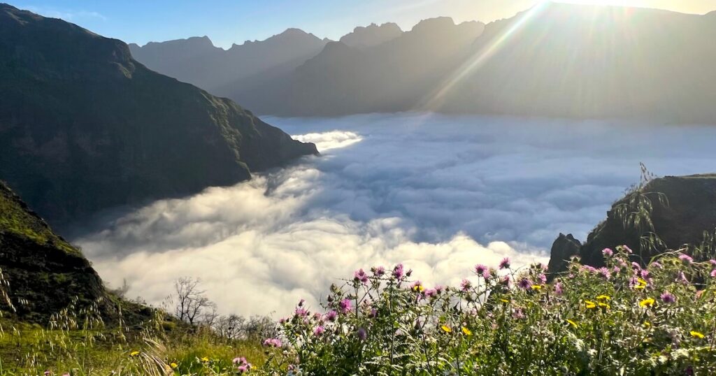 Sunrise over Pico Grande with a blanket of clouds filling the valley below and wildflowers in the foreground.