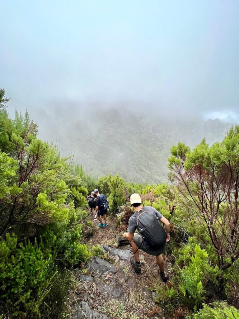Hikers descending a narrow trail through dense mountain vegetation with low cloud covering the ridge ahead.