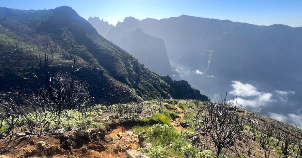 A steep mountainside at Pico Grande overlooks a cloud-filled volcanic valley, with a narrow trail crossing terrain marked by both fresh green growth and fire-scorched shrubs.