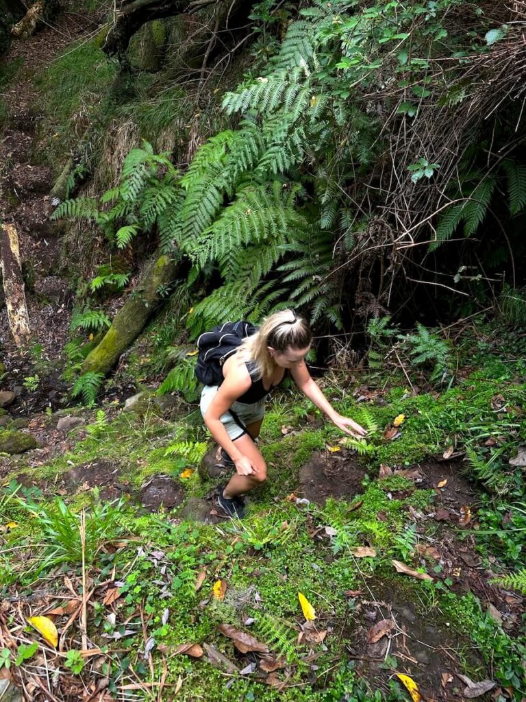 Woman climbing a steep, mossy forest trail surrounded by dense green ferns.
